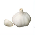 Chinese Fresh Pure White Garlic 5.5cm